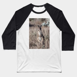 Grey Kangaroo Baseball T-Shirt